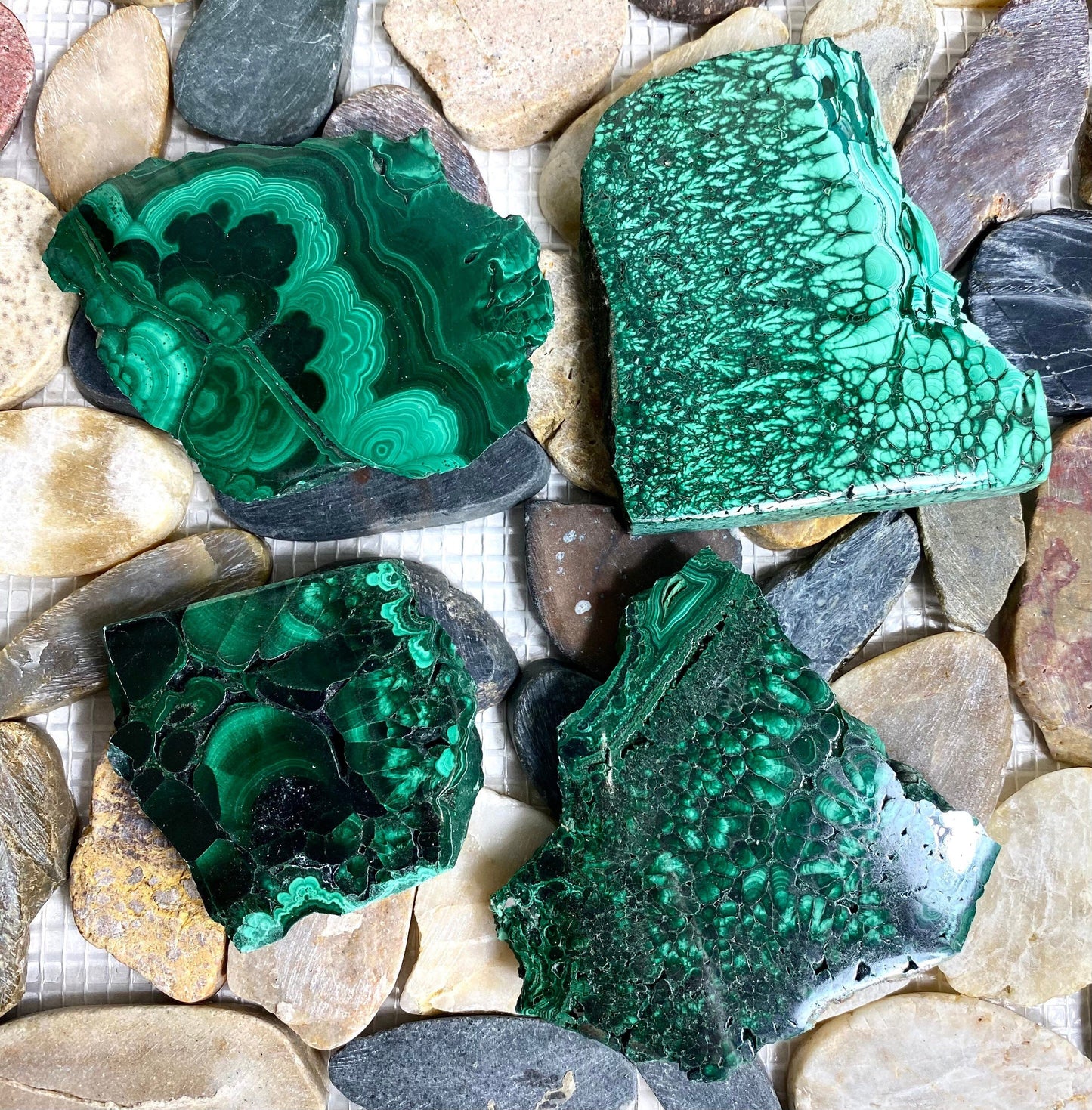 Wholesale Lot 3-5PCs  Natural Malachite Slab Crystal Nice Quality Healing Energy 1.9 to 2 lbs