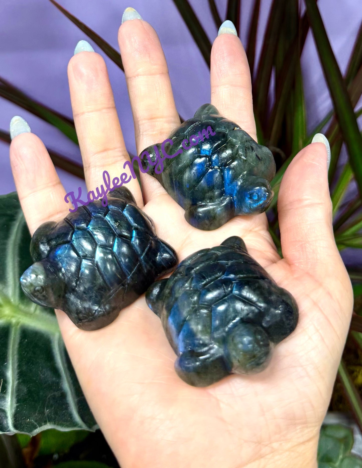 6 PCs 5cm Natural Labradorite Turtle healing energy
