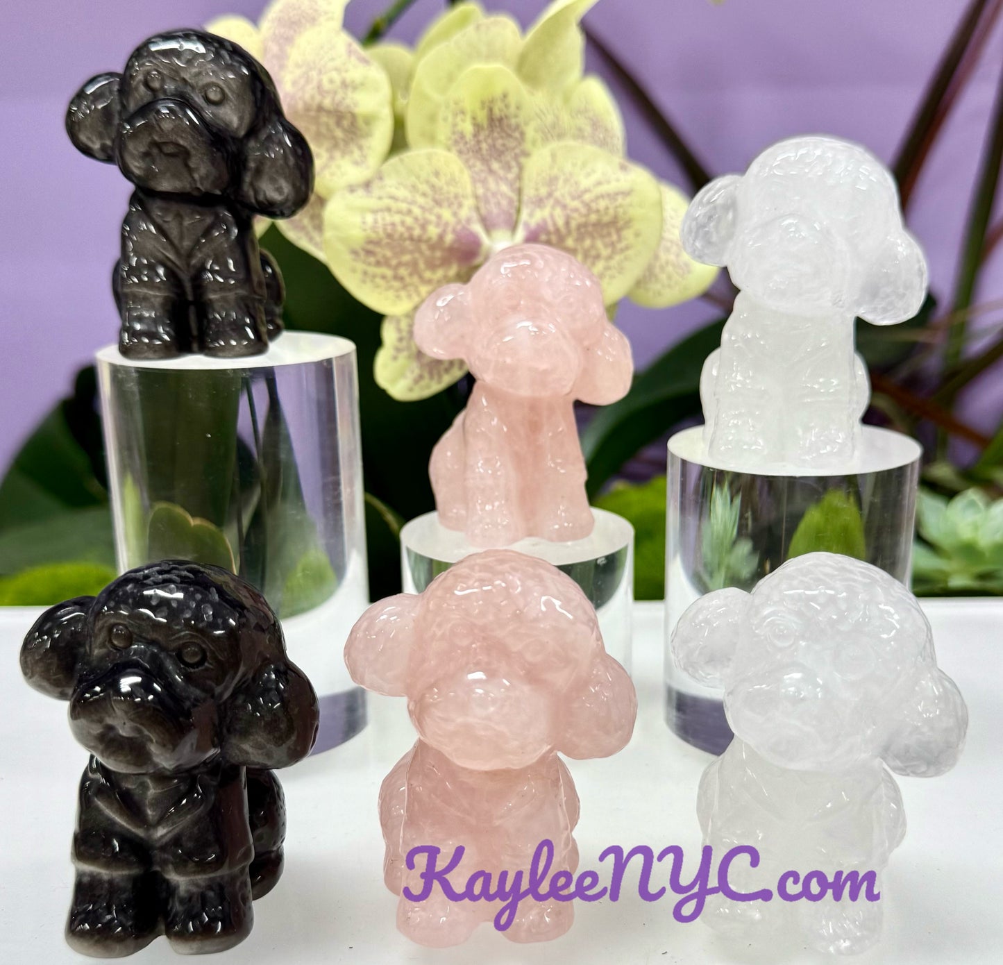 Wholesale Lot 6 pcs Natural Crystals Toy Poodle Healing Energy