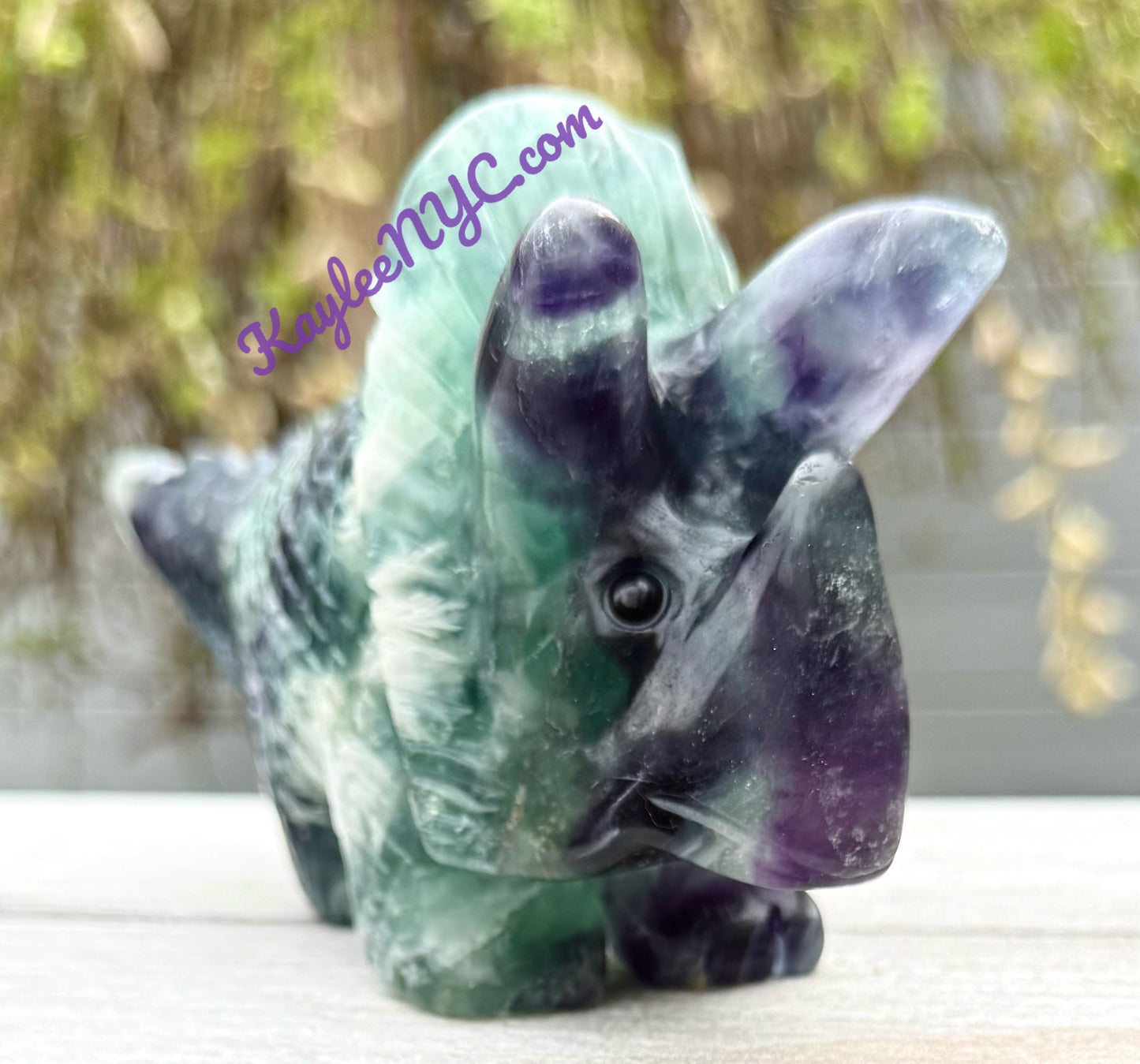 2 PCs Natural Fluorite Triceratops Dinosaur Crystals Healing Energy