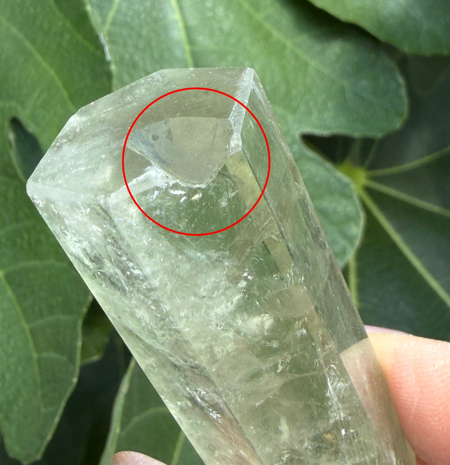Wholesale Lot 2 Lb Prasiolite Green Amethyst Tower Obelisk Point Crystal Healing
