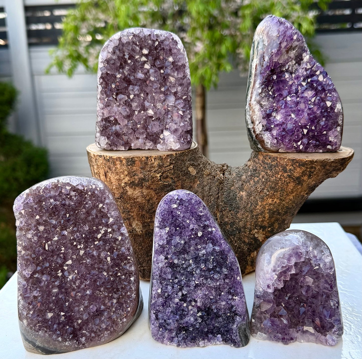 Wholesale Lot 4-5 pcs NaturalAmethyst cut base 4.8-5lbs Healing Energy