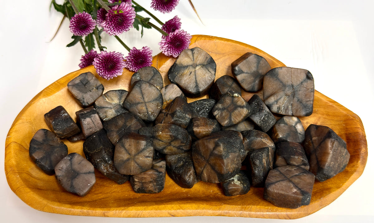Wholesale Lot 2 lbs Natural Chiastolite Tumble Andalusite Cross Stone Crystal Healing Energy