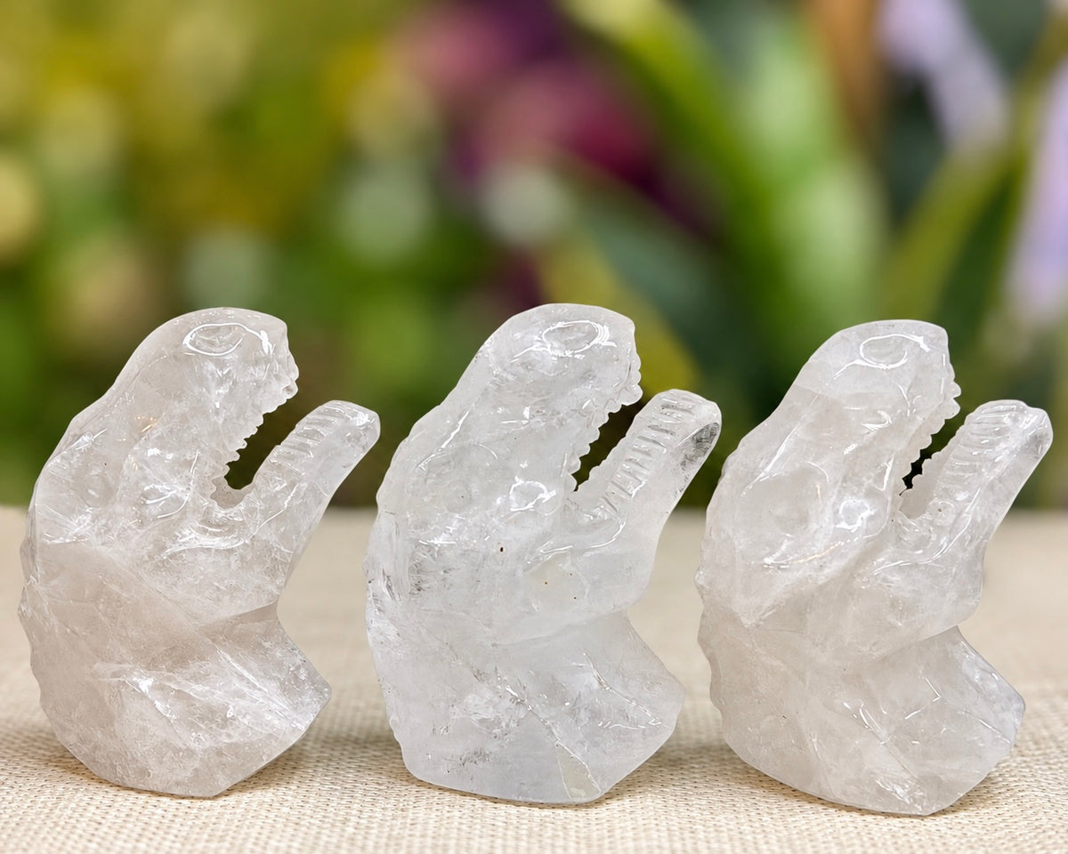 3 PCs Natural Clear Quartz Dinosaur Crystal Healing Energy