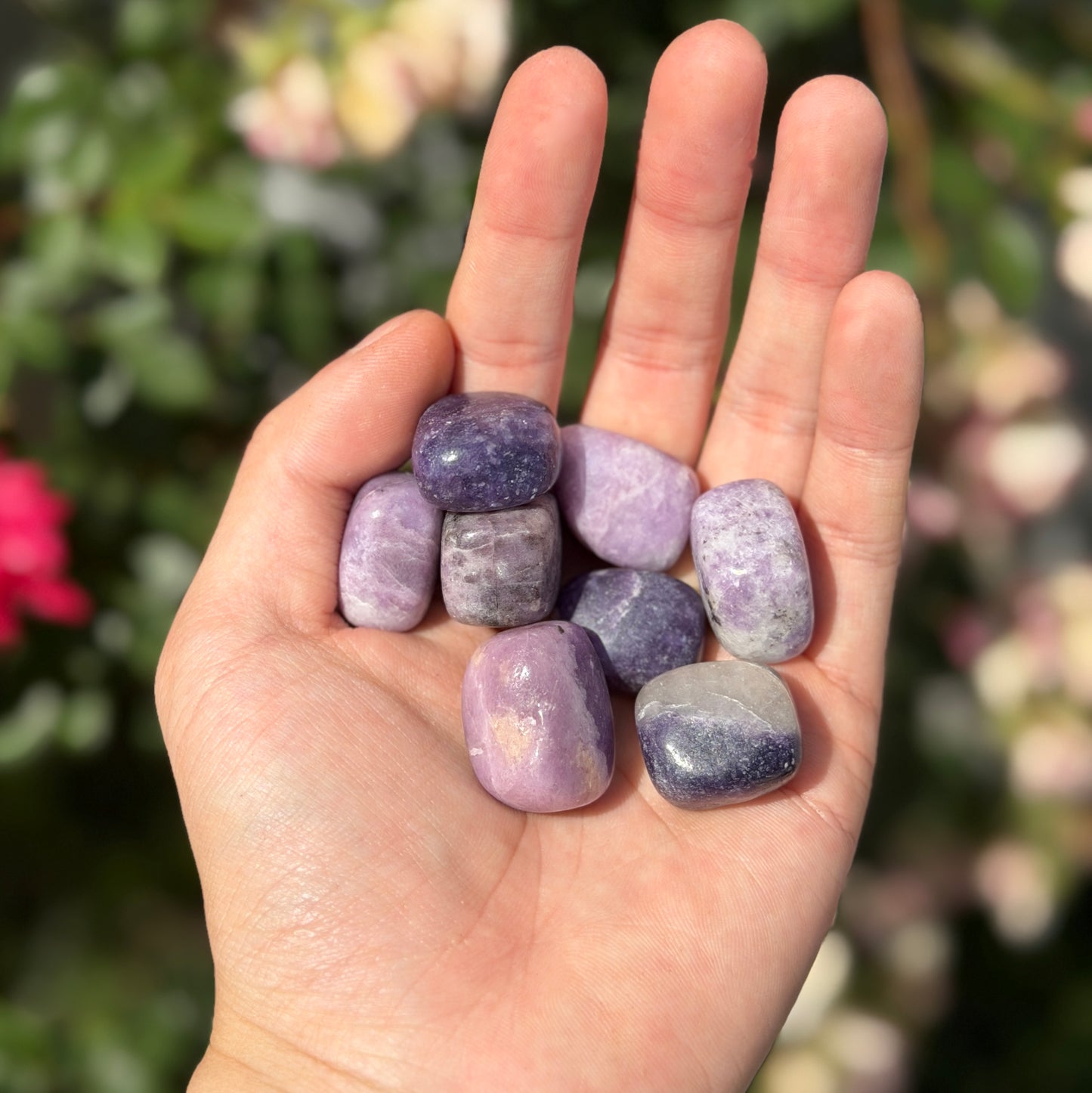 Wholesale Lot – 2 lbs Natural Lepidolite Tumbled Crystals – Nice Quality