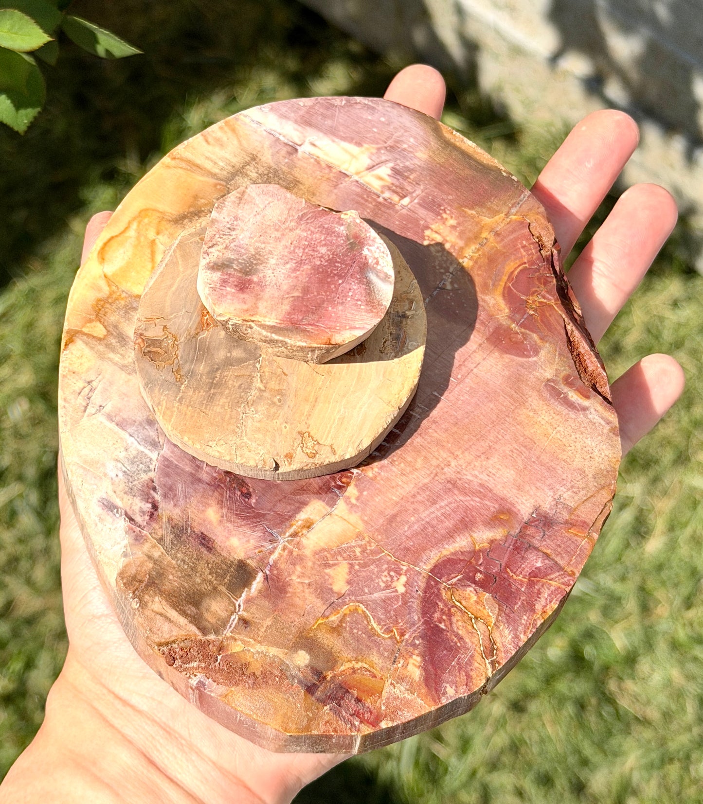 4 lbs Natural Petrified Wood Slabs Crystals Healing Energy