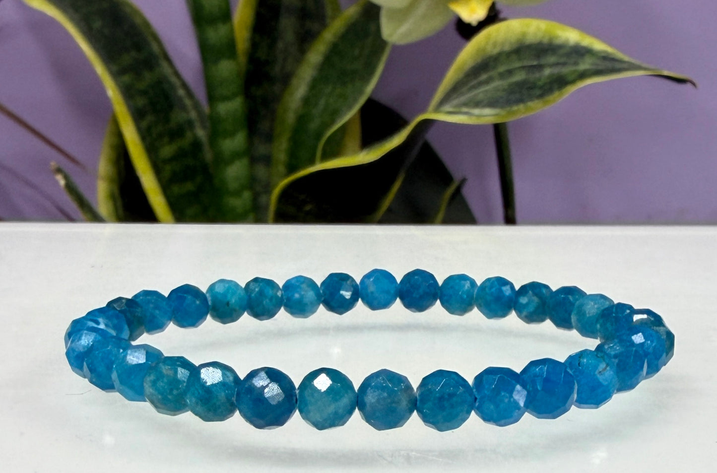 6 PCs Natural Faceted Apatite 6mm 7.5” Crystal Bracelet