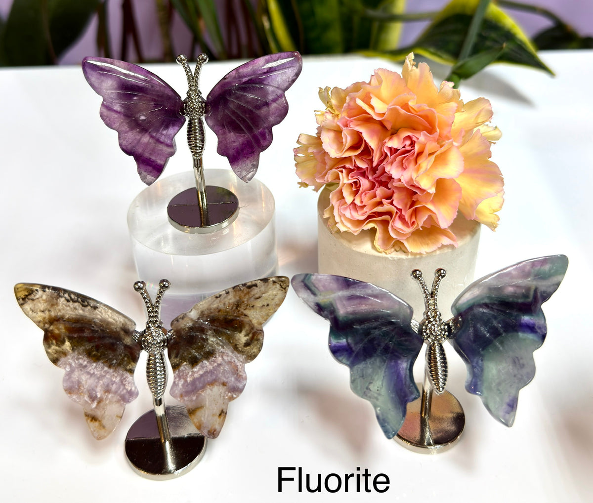 Wholesale Lot 12 PCs Mixed Natural Crystal Butterfly w/stand Healing Energy
