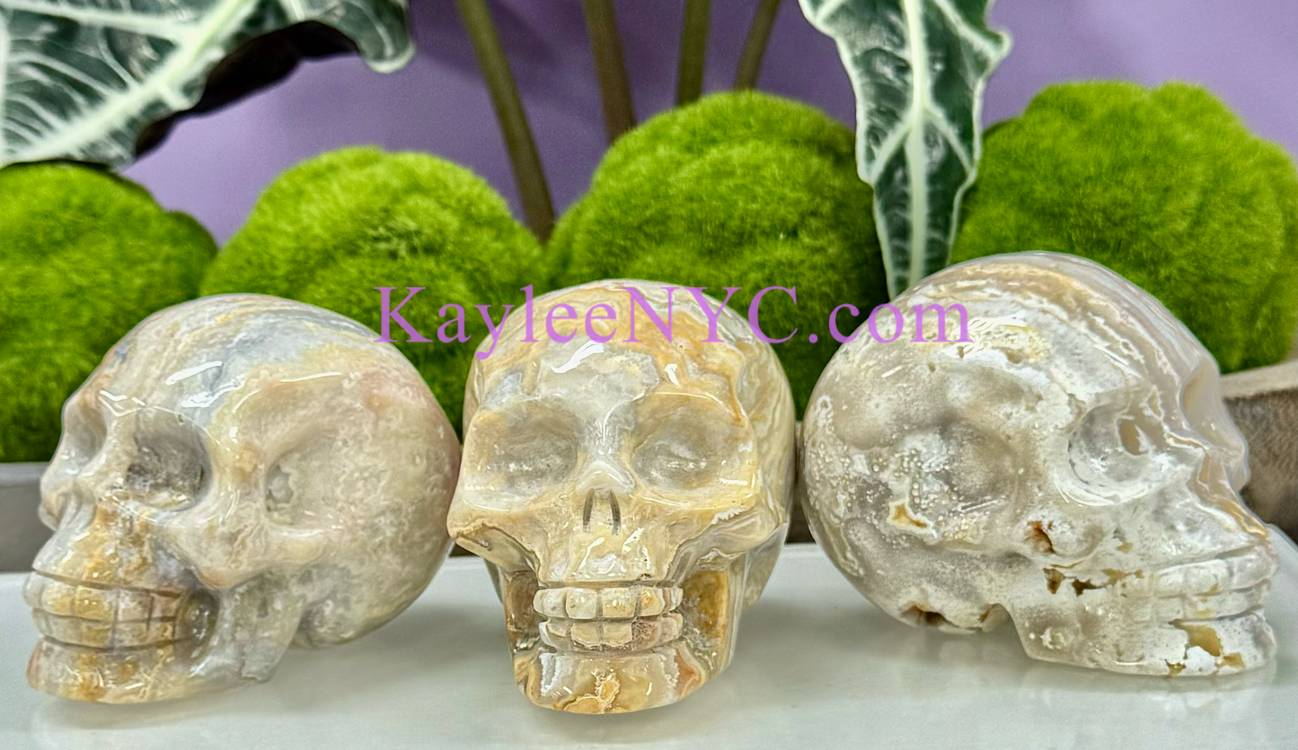 Wholesale lot 3 Pcs Natural Crazy Lace Agate Crystal Skull