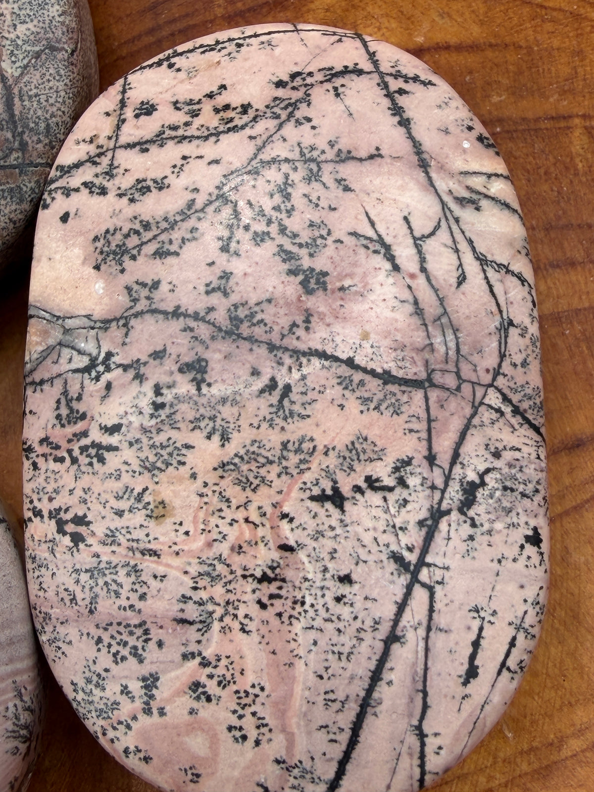 Wholesale 2 Lb Lot Natural Picture Jasper Palm Stones Crystal Natural Energy
