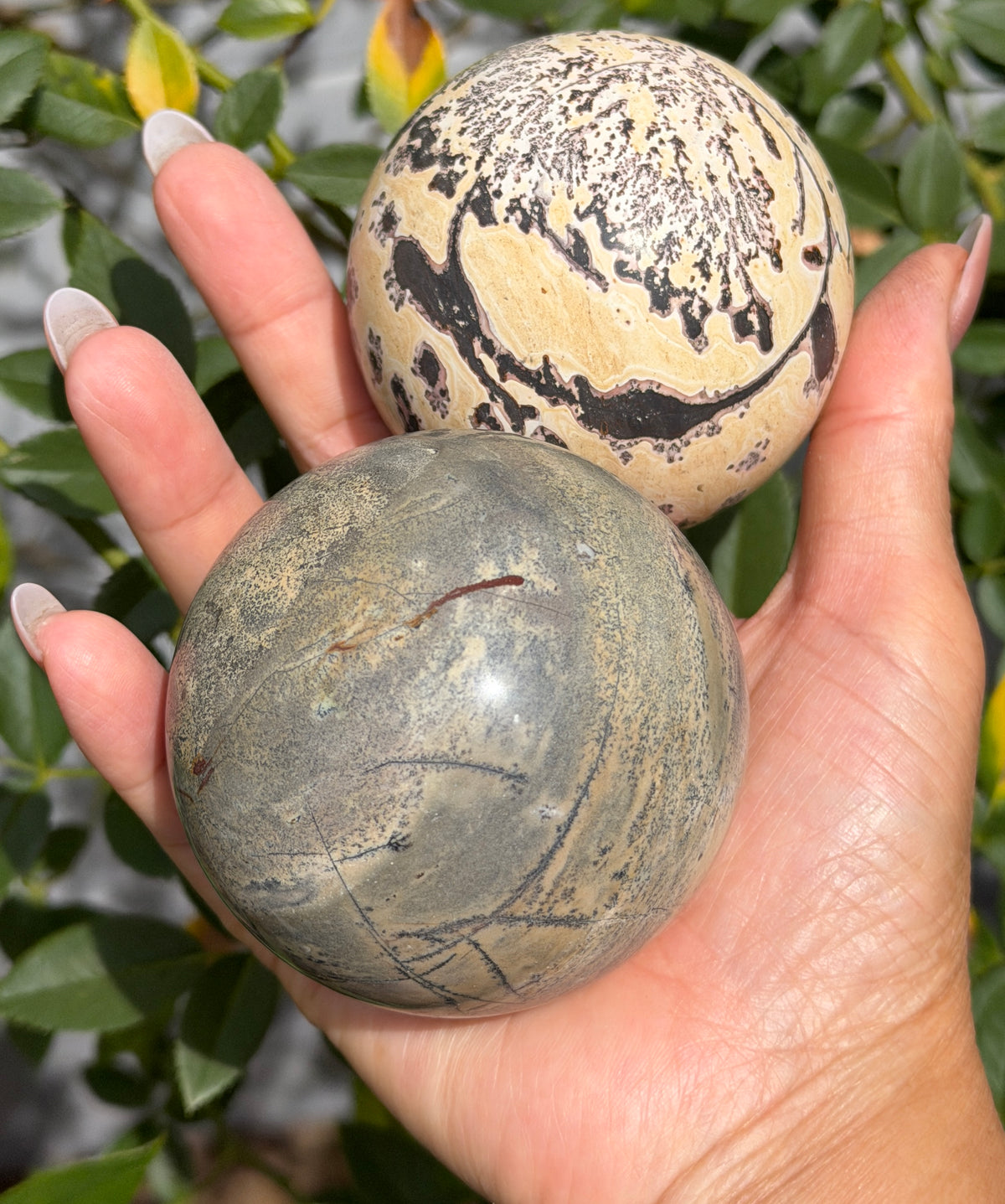 Wholesale Lot 3 Pcs Natural Picture Jasper Sphere Crystal Healing