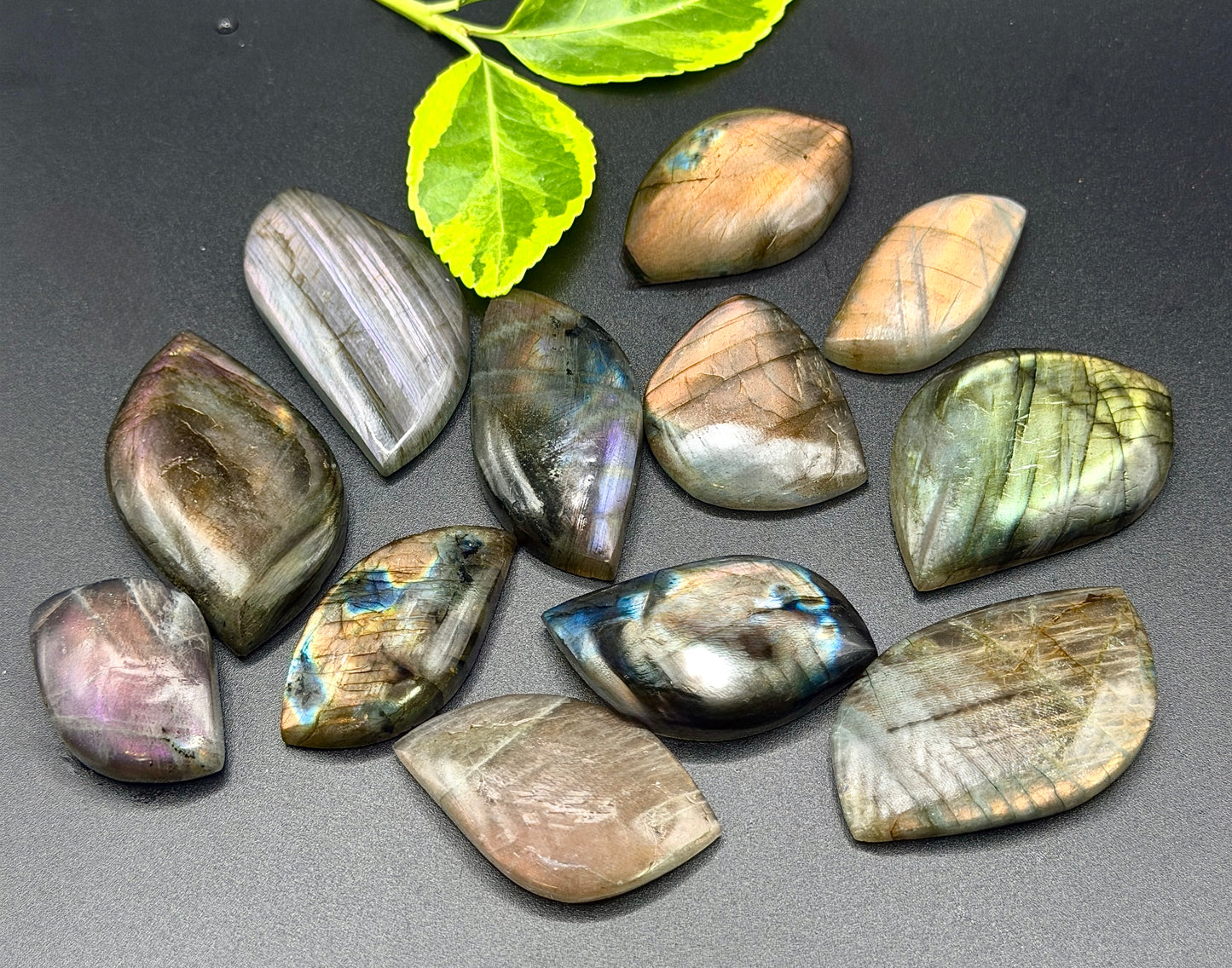 Wholesale Lot 12 pcs Natural Sunset Labradorite Cabochon Crystal Healing Energy