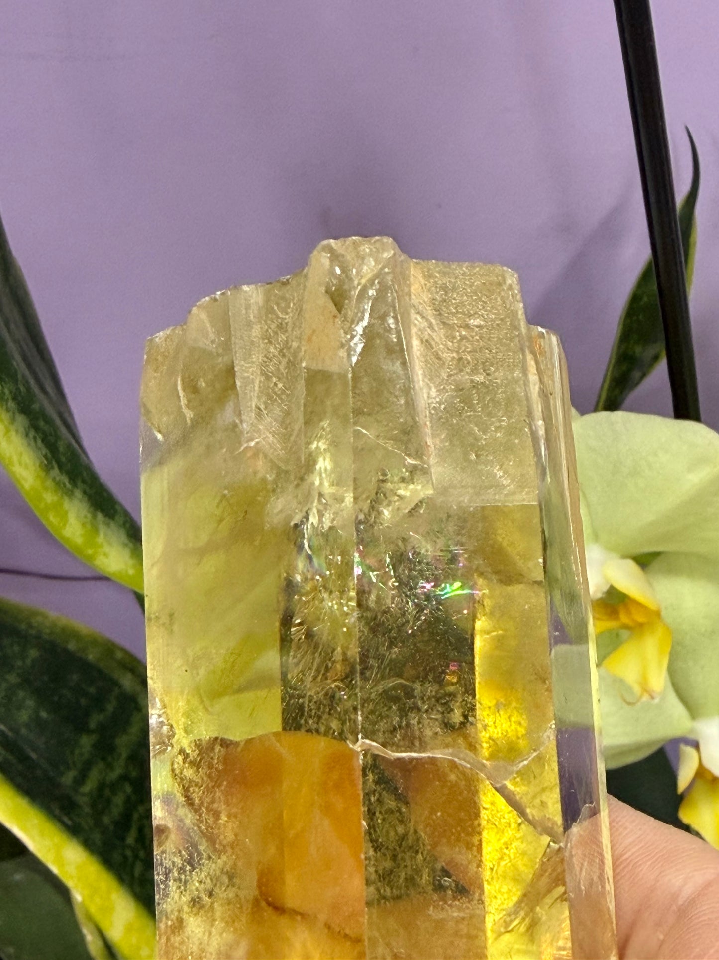 Wholesale Lot 2 lbs Citrine Obelisk Tower Point Crystal Energy Healing