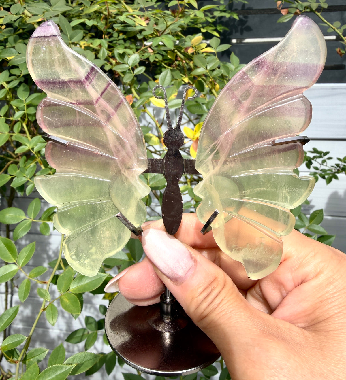 Wholesale Lot 4 PCs Natural Fluorite Crystal Butterfly w/stand Healing Energy