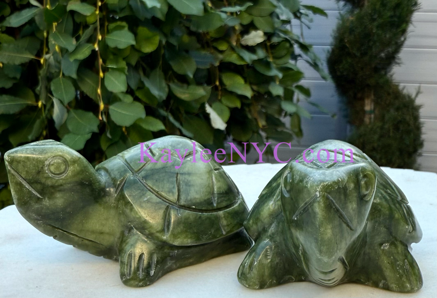 6 PCs Natural Nephrite Jade Turtle healing energy