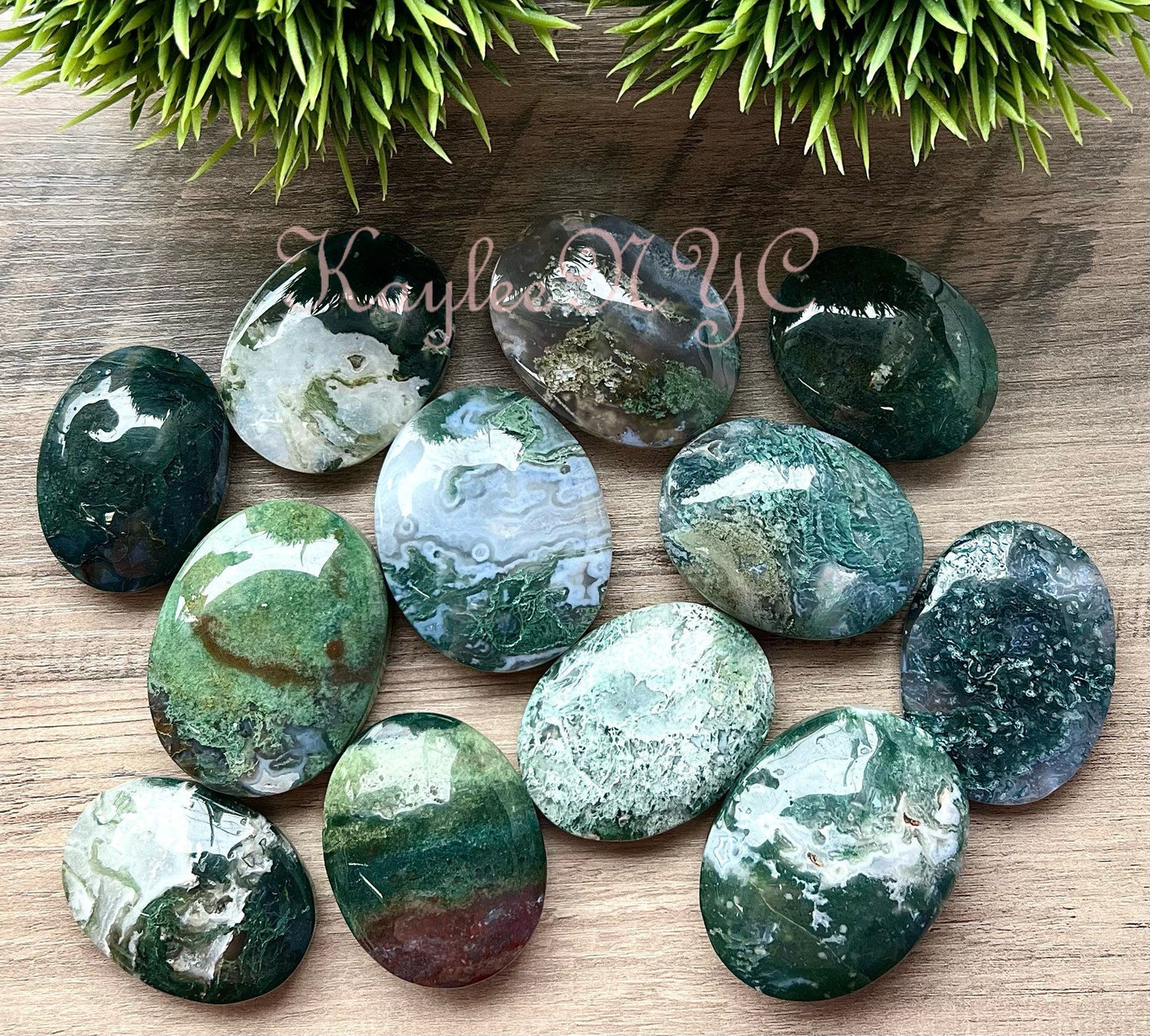 Wholesale Lot 2 Lbs Natural Moss Agate Palm Stone Crystal Healing Energy