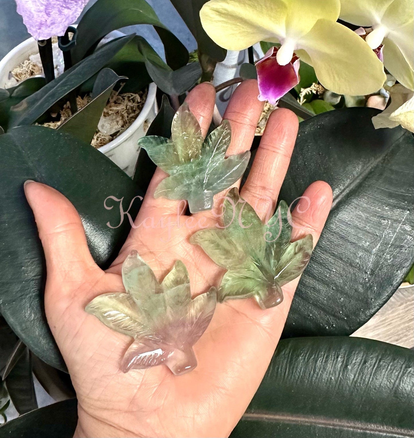 Wholesale Lot 6 PCs 2” Natural Fluorite Pot Leaf Healing Energy