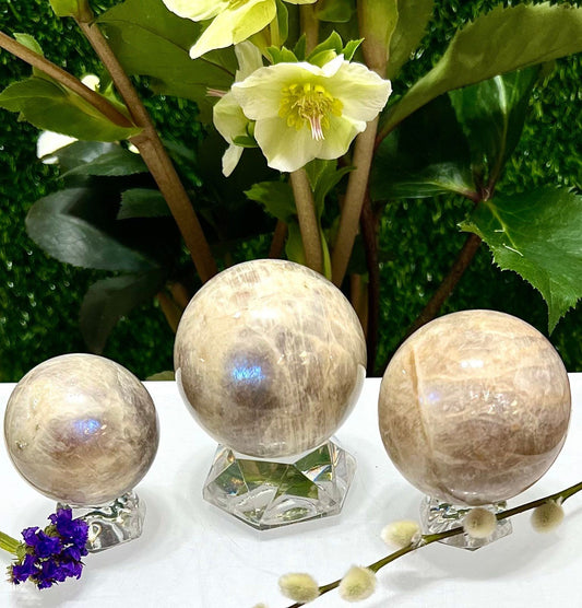 Wholesale Lot 2-3 Pcs Natural Moonstone Spheres Crystal Ball 1.9-2 Lb Healing Energy