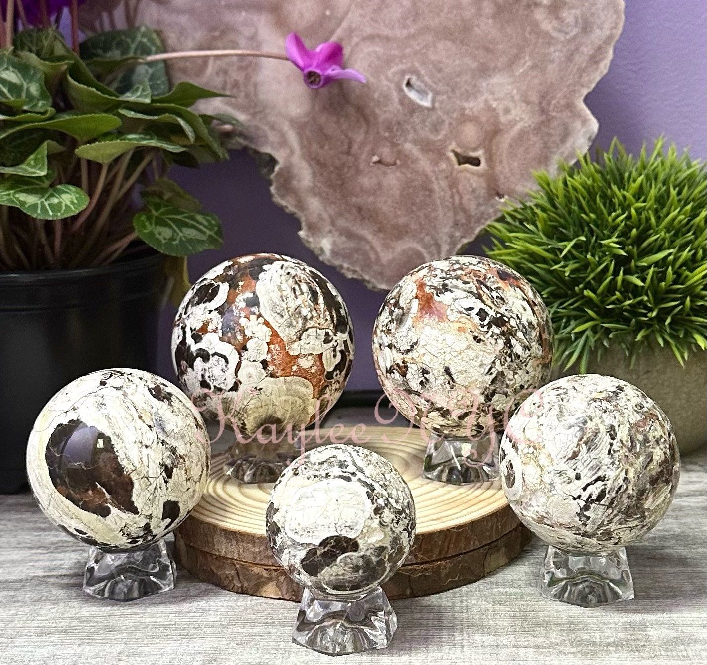 Wholesale Lot 4 to 5 Pcs Natural Money Agate Sphere Crystal Ball 2.8 to 3 lbs Nice Quality Healing