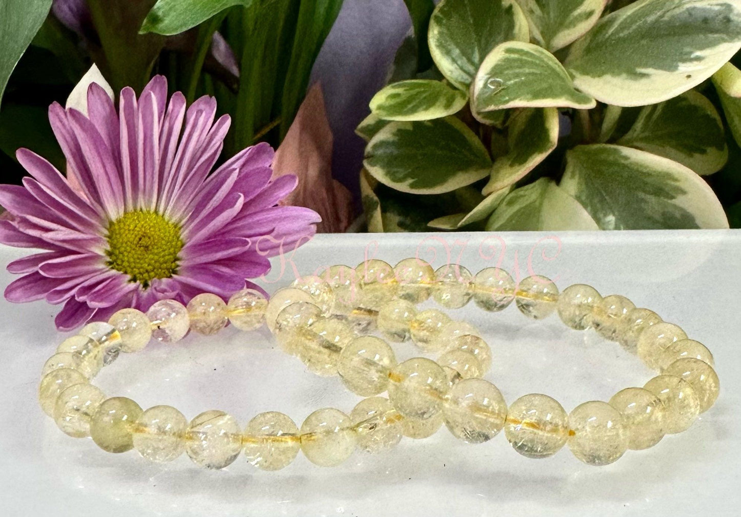 Wholesale 6 Pcs Natural Citrine 8mm 7.5” Crystal Healing Stretch Bracelet