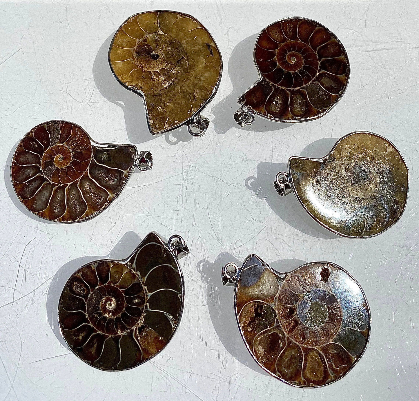 Wholesale Lot 6 Pcs Natural Ammonite Pendant Healing Crystal Energy