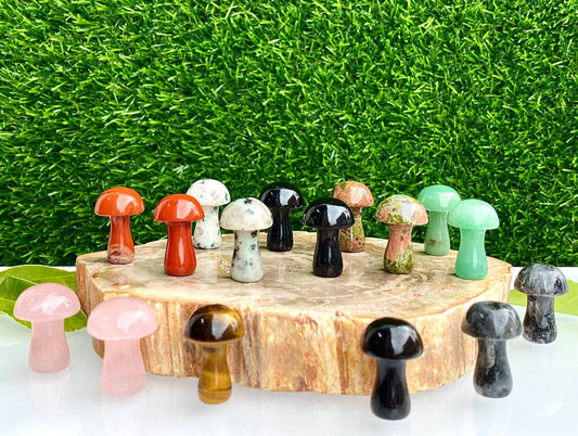 Wholesale Lot 16 PCs Natural Mixed 1” Crystal Mushroom Healing Energy