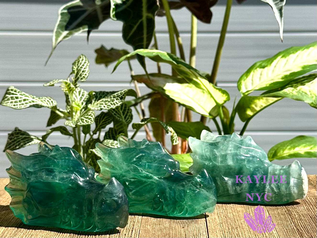 3 PCs Natural Fluorite Dragon Head