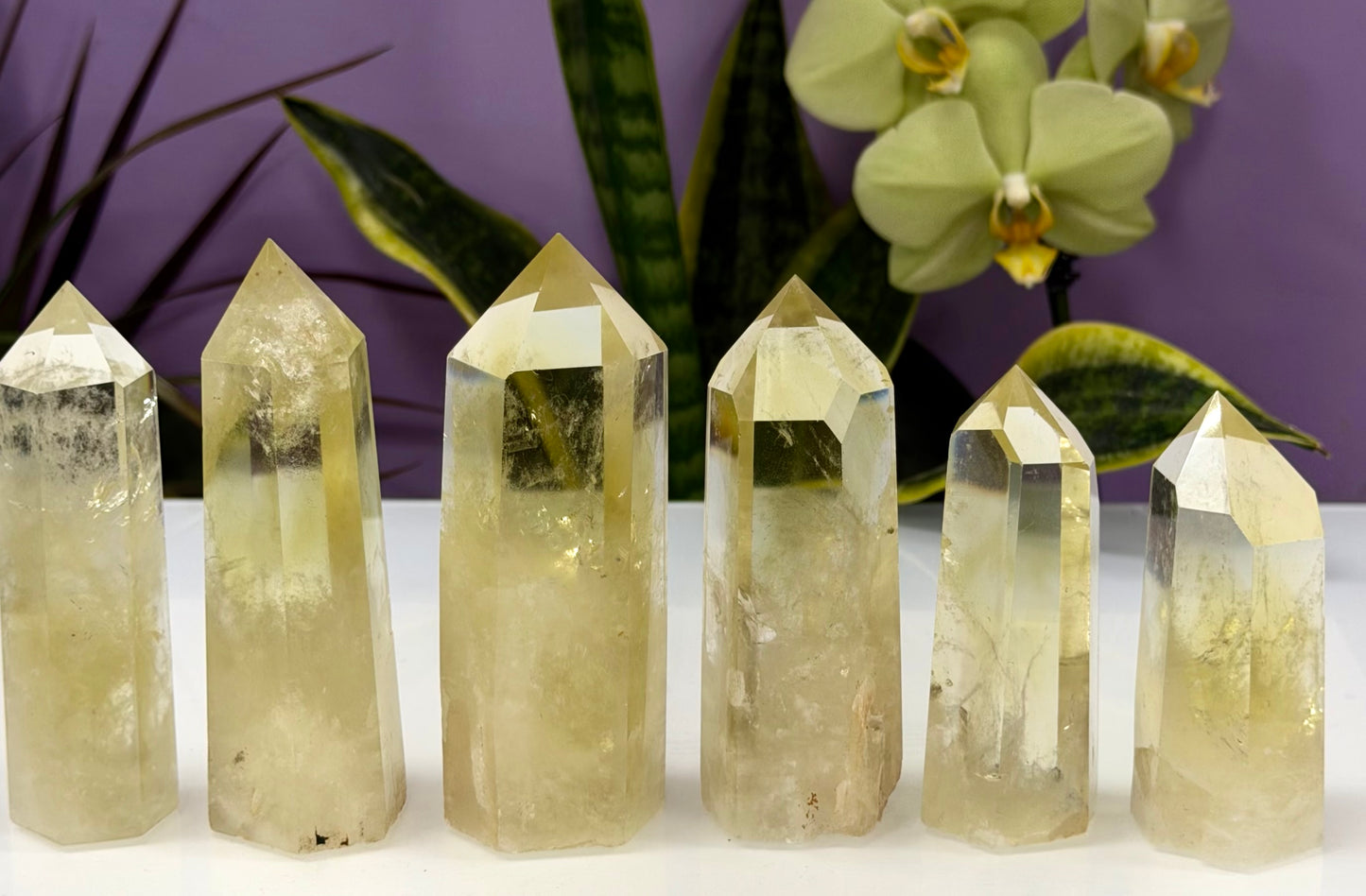 Wholesale Lot 2 lbs Citrine Obelisk Tower Point Crystal Energy Healing