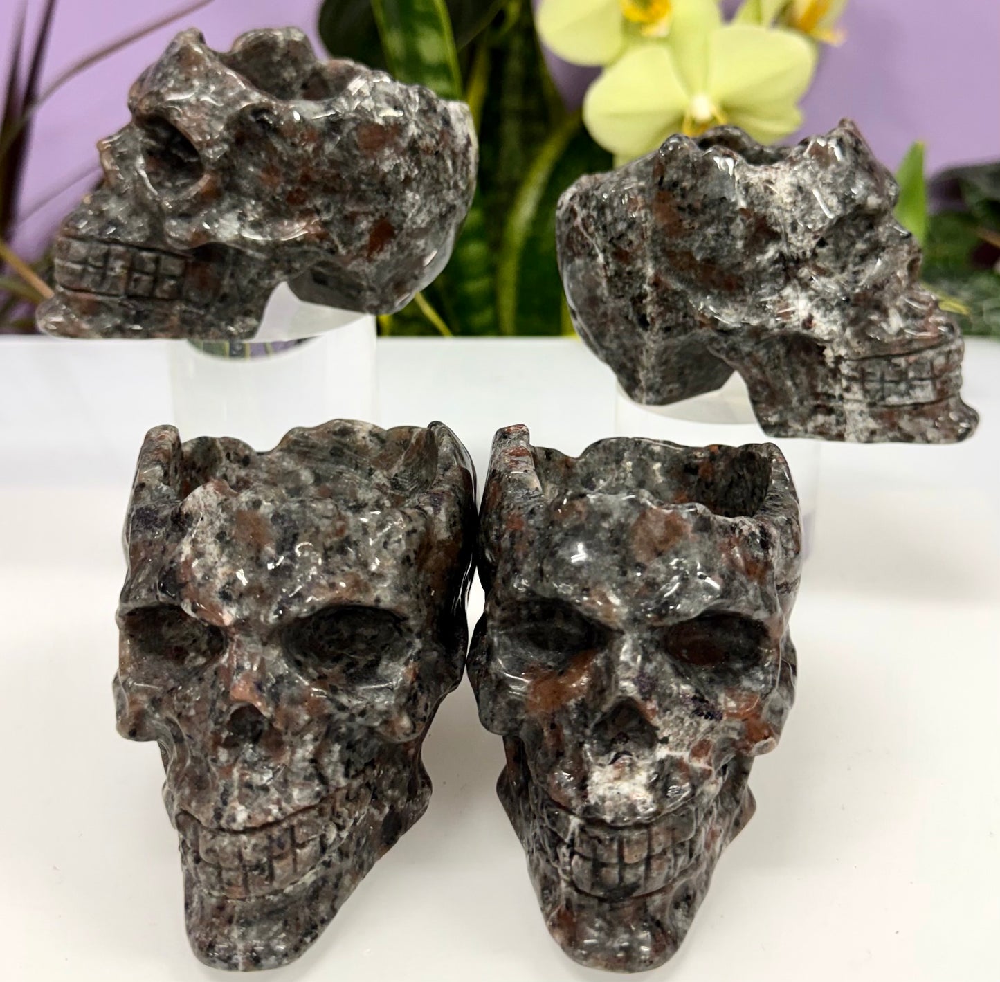 Wholesale lot 4 Pcs Yooperlite aka Emberlite Skull Bowl Natural Crystal healing energy