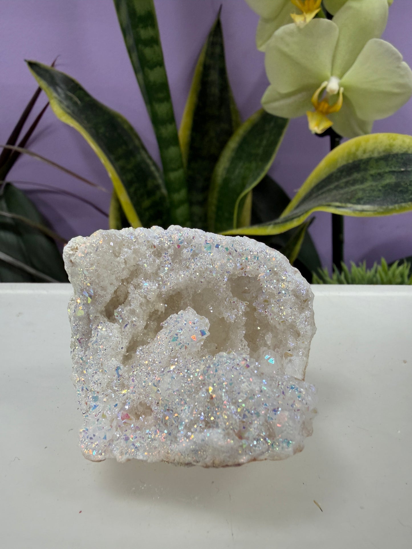 Wholesale Lot 2 Lb Angel Aura White Druzy Quartz Geode Crystal Healing Energy