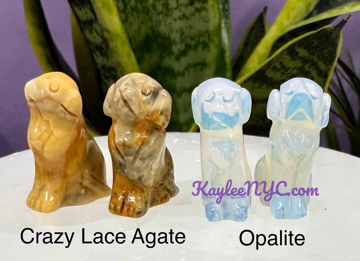 Wholesale Lot 16 PCs Mix Crystals Dogs Crystal Healing Energy