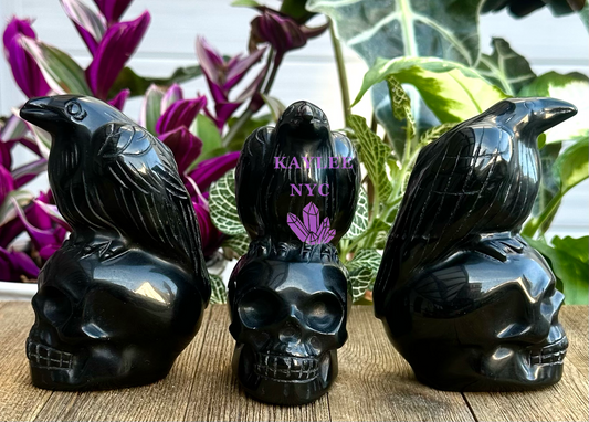 3 PCs Natural Black Obsidian Crow Skull