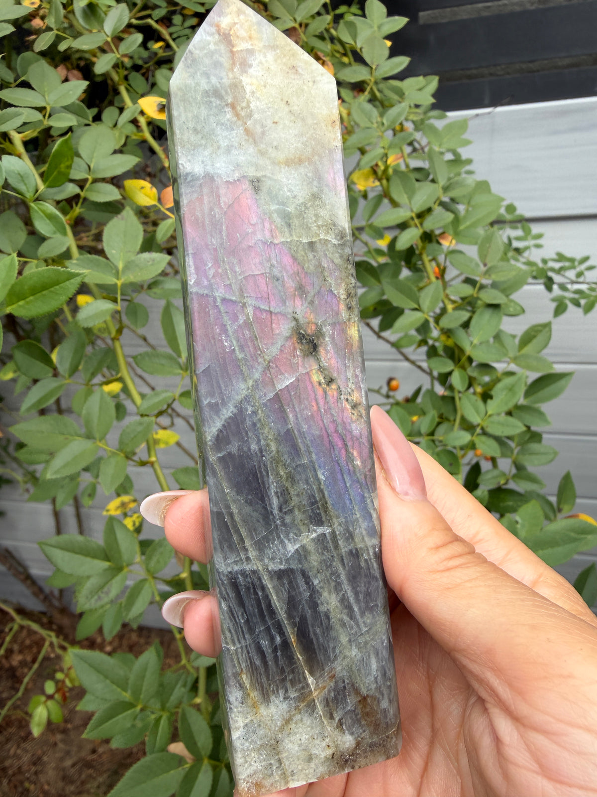 Wholesale Lot 2 lbs Natural Sunset Labradorite obelisk Tower Point Crystal Healing Energy