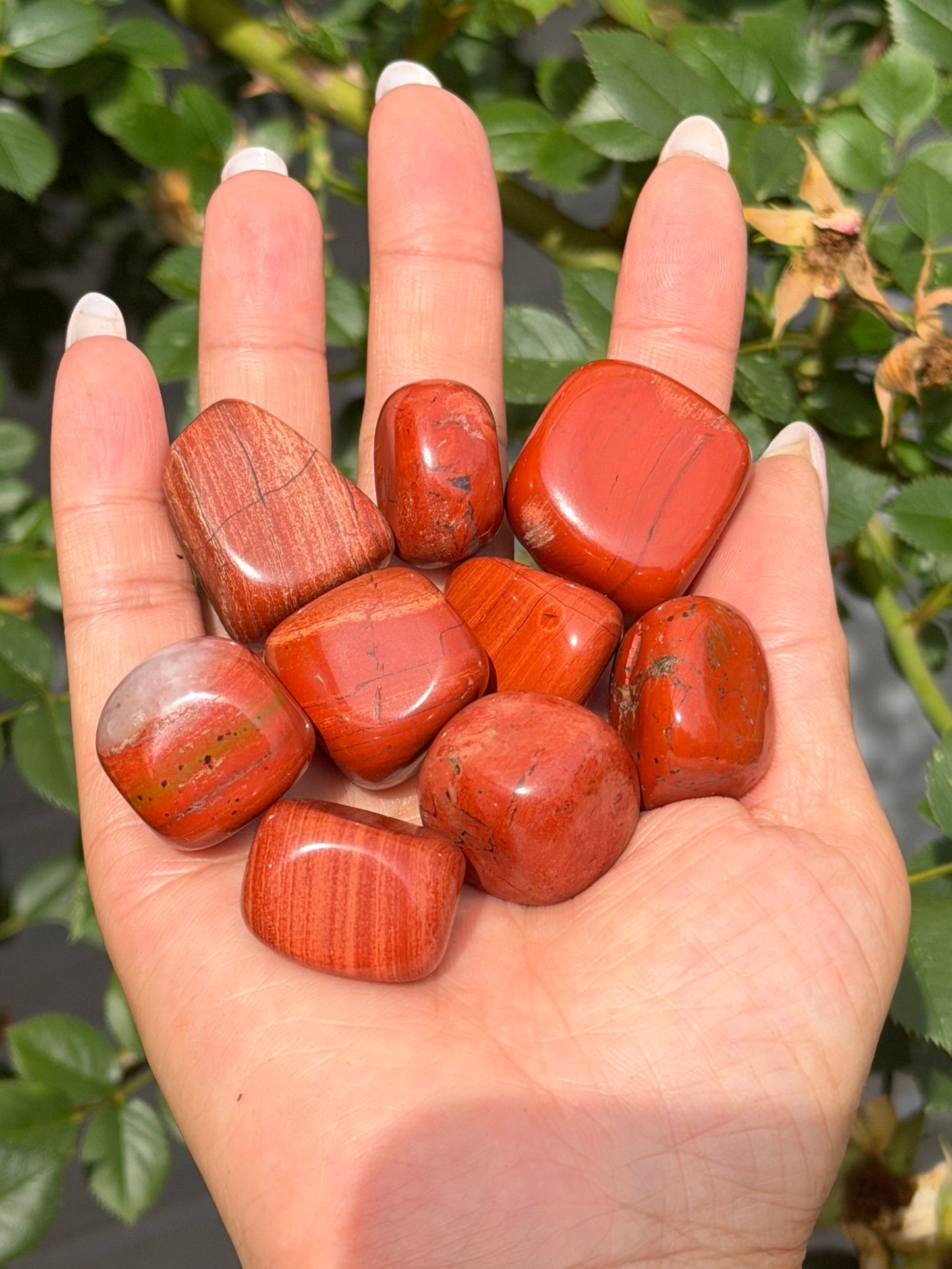 Wholesale Lot 2 Lbs Natural Red Jasper Tumble Healing Energy