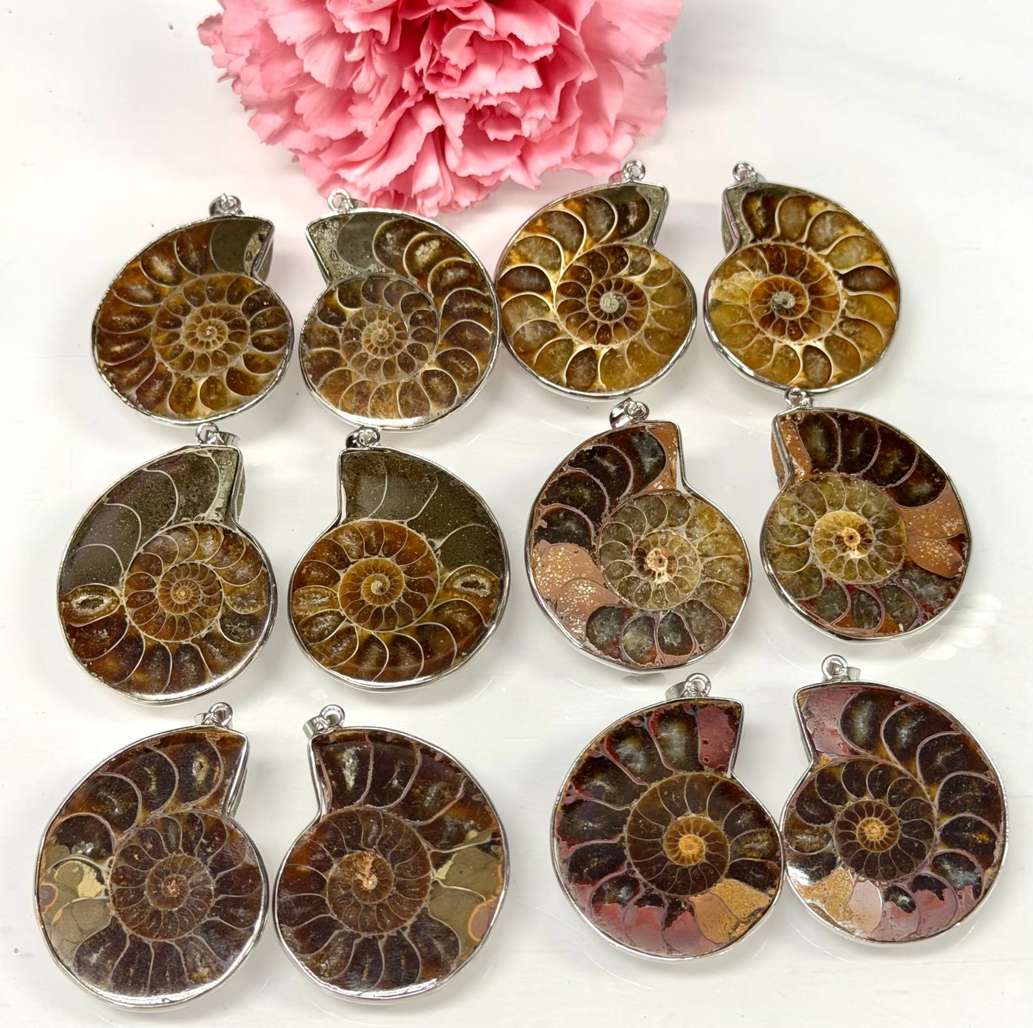 Wholesale Lot 12 Pcs Ammonite Pendant with Rhodium Findings Healing Crystal Energy