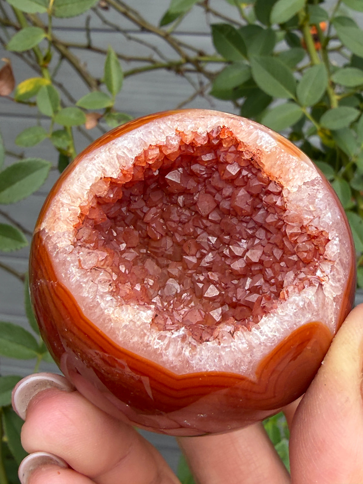 2lbs Natural Druzy Carnelian Sphere Crystal Ball