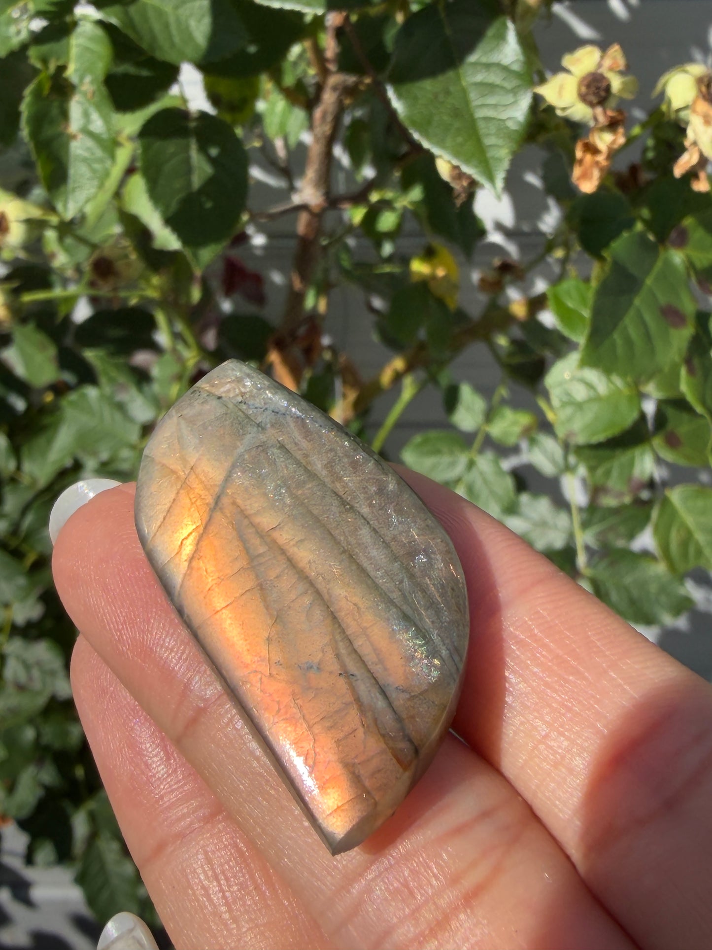 Wholesale Lot 12 pcs Natural Sunset Labradorite Cabochon Crystal Healing Energy
