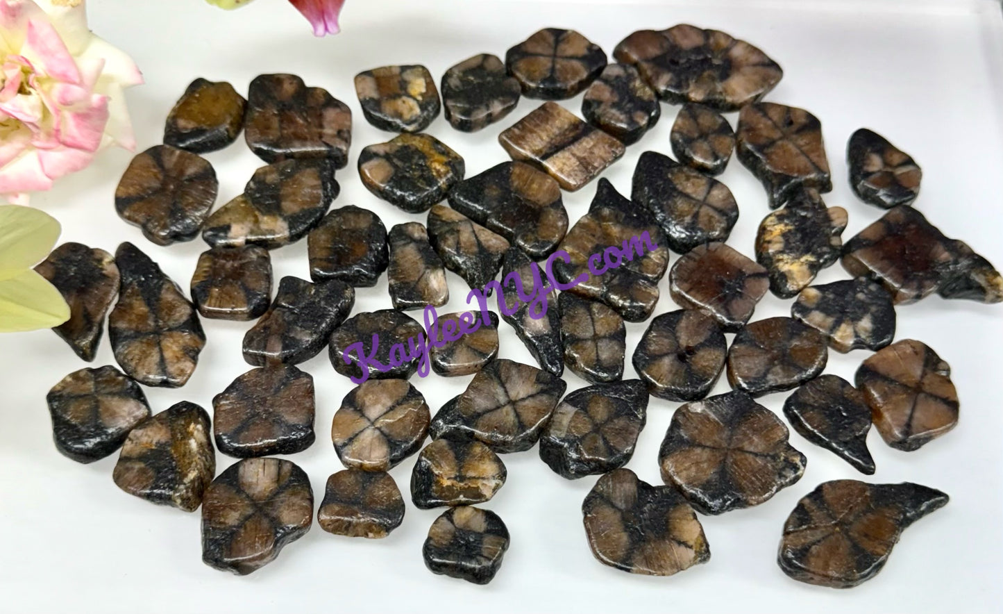 Wholesale Lot 1 lb Natural Chiastolite Tumble Crystal Healing Energy Nice Quality