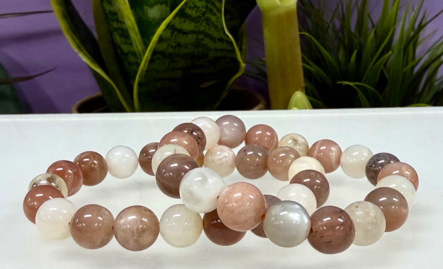 Wholesale Lot 6 Pcs Natural Mix Moonstone 10mm 8” Stretch Bracelet