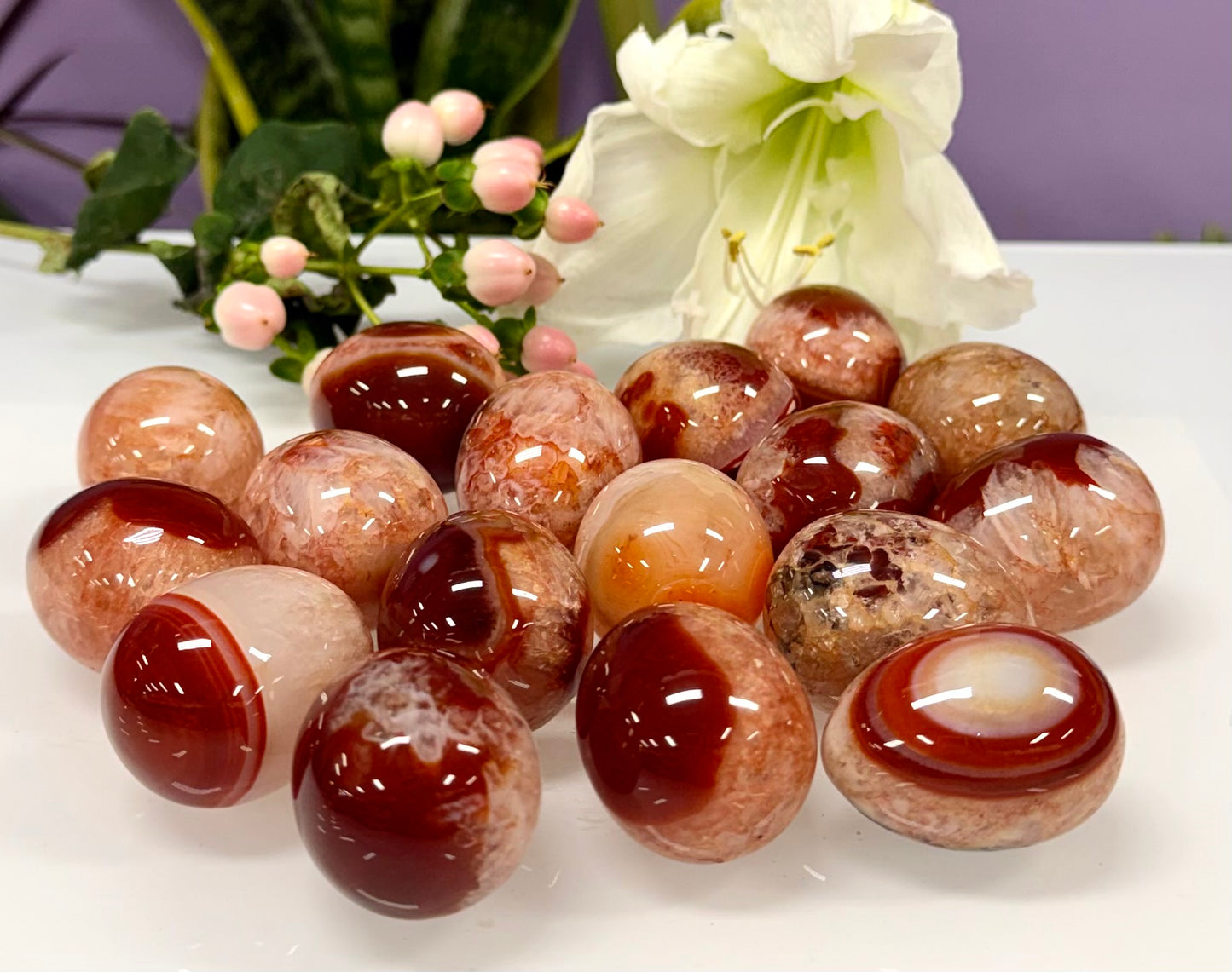 Wholesale Lot 17 pcs Natural Carnelian crystals Egg