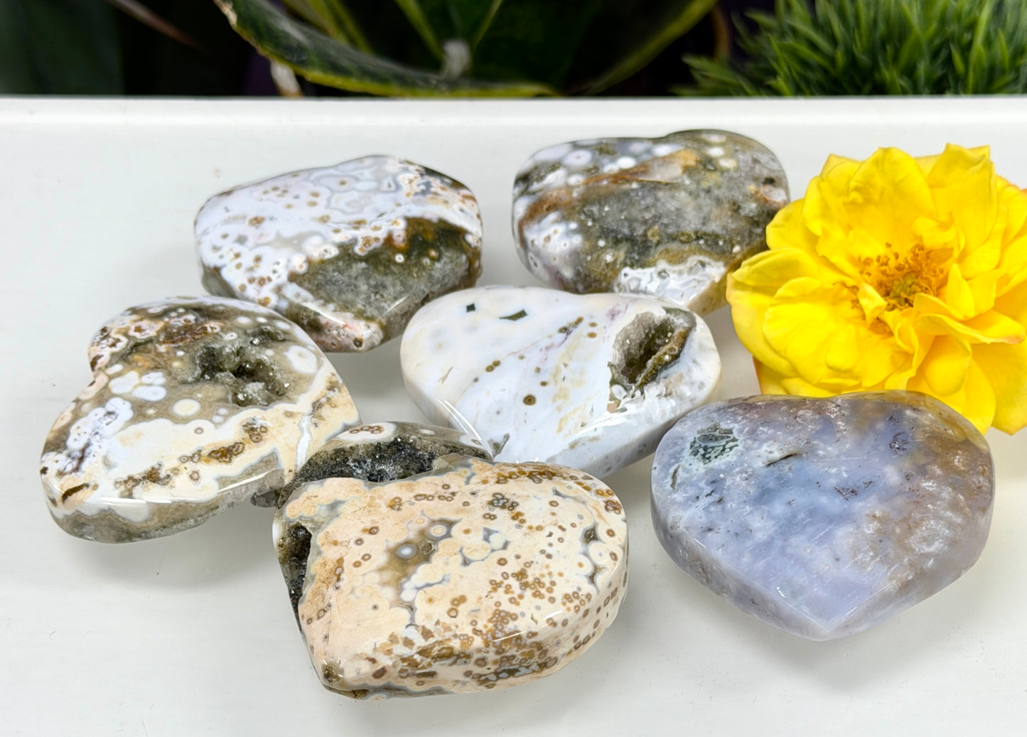 Wholesale 1 lb Lot Natural Ocean Jasper Heart Crystal Energy