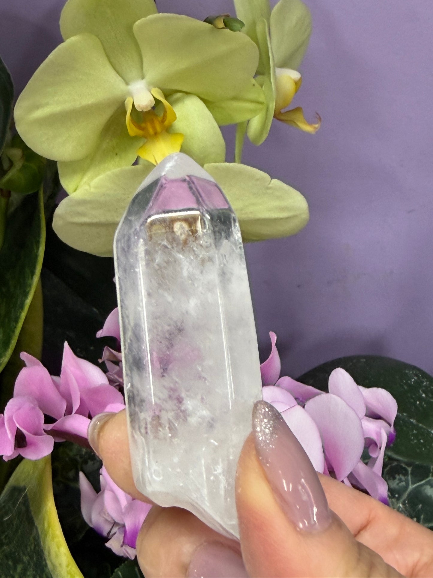 Wholesale Lot 2 lbs Natural Clear Quartz Tumble Wand Raw Crystal