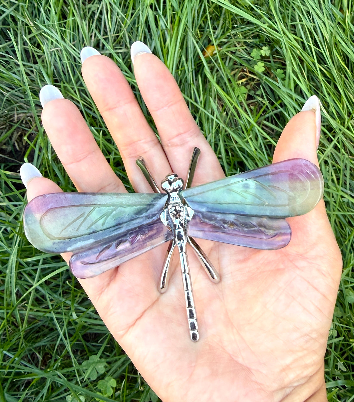 Wholesale Lot 6 PCs Natural Fluorite Crystal Butterfly w/stand Healing Energy