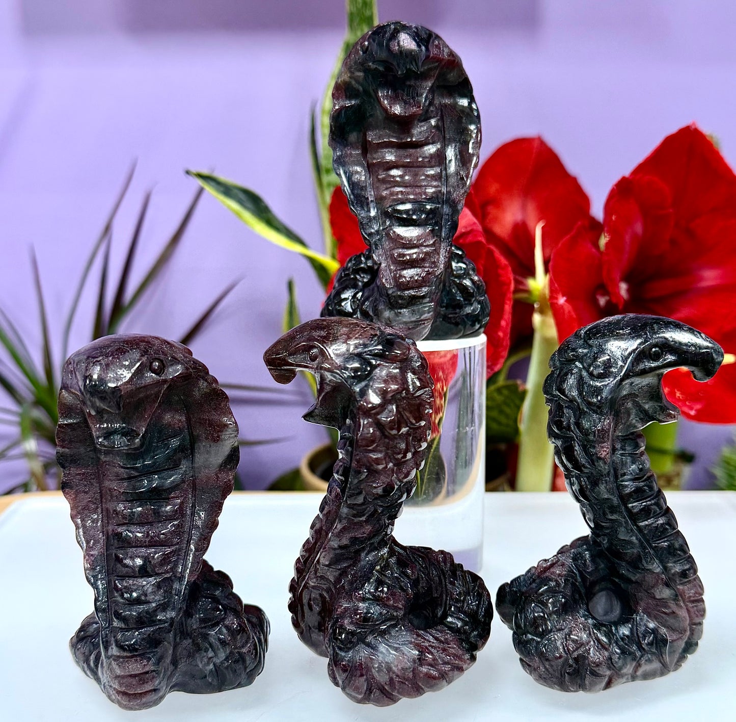 4 PCs Natural Garnet Astrophyllite / Arfvedsonite Coba Snake Crystal healing energy