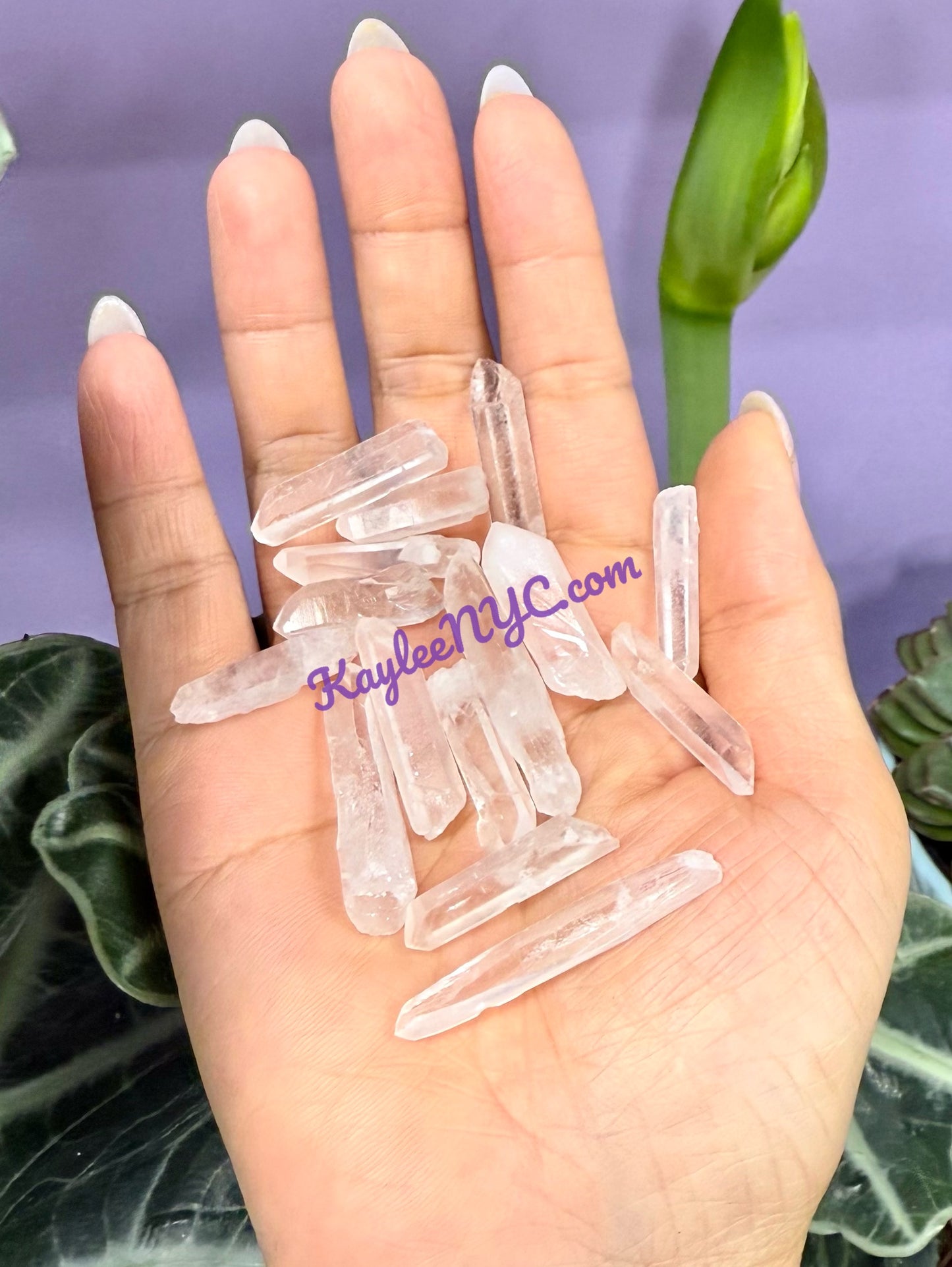 Wholesale Lot 1 Lb Natural Lemurian Quartz Small Wand Raw Crystal