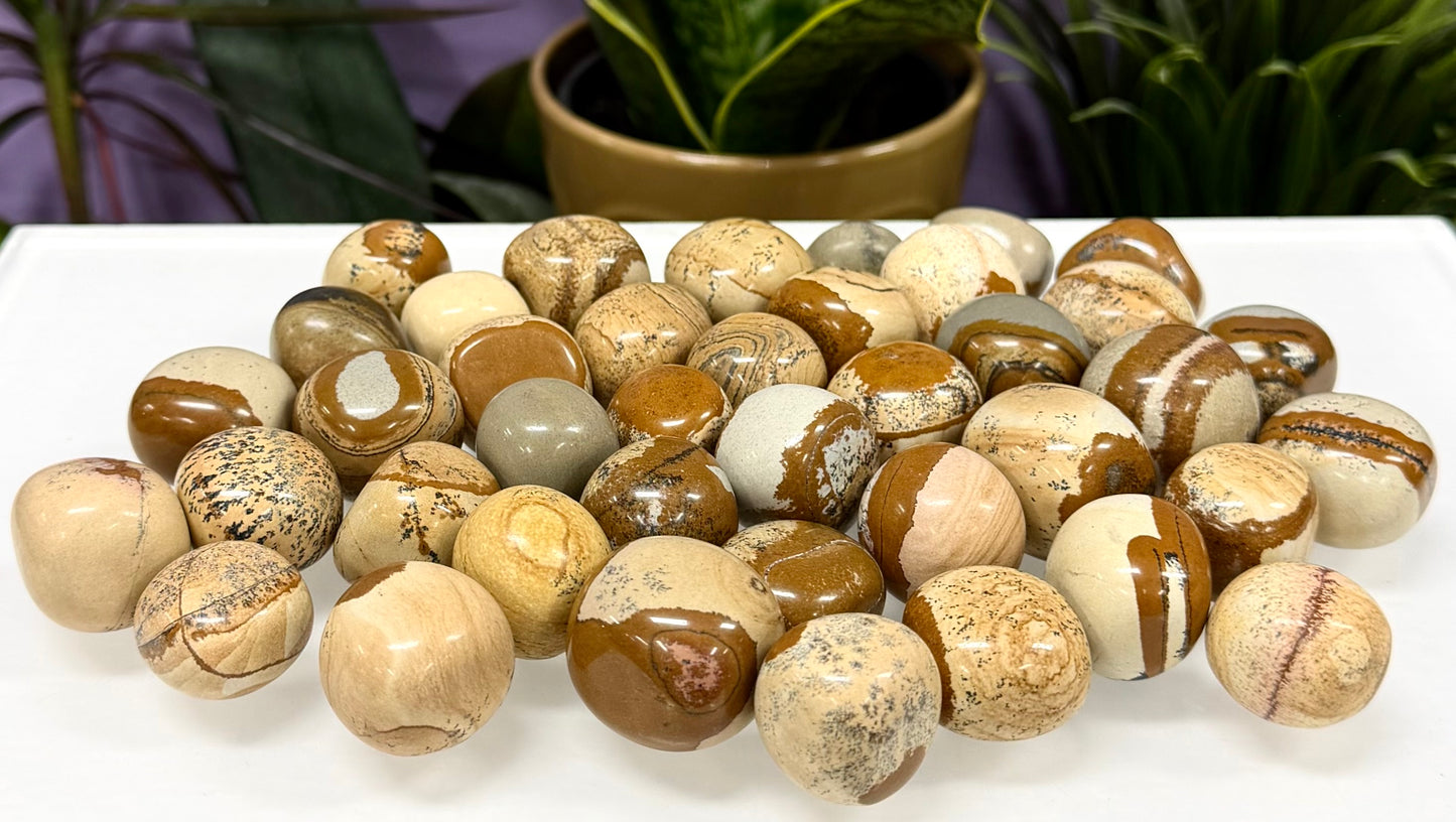 2 lbs Natural Picture Jasper Tumble Crystal Healing Energy