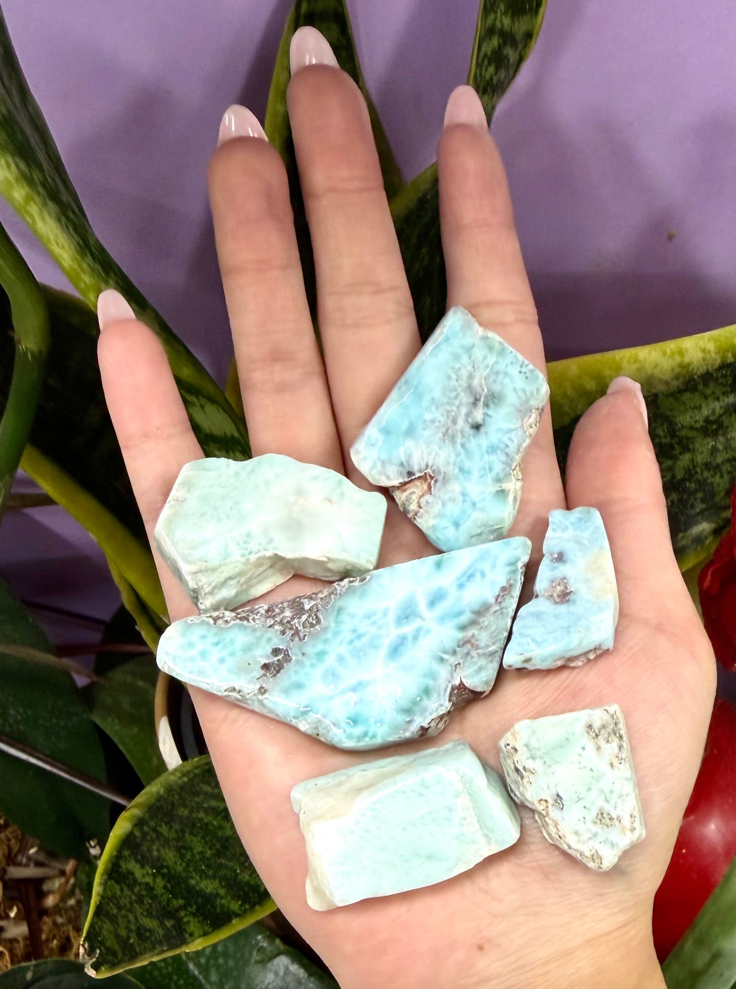 Wholesale Lot 1 lb Natural Larimar Slabs Crystal Healing Energy