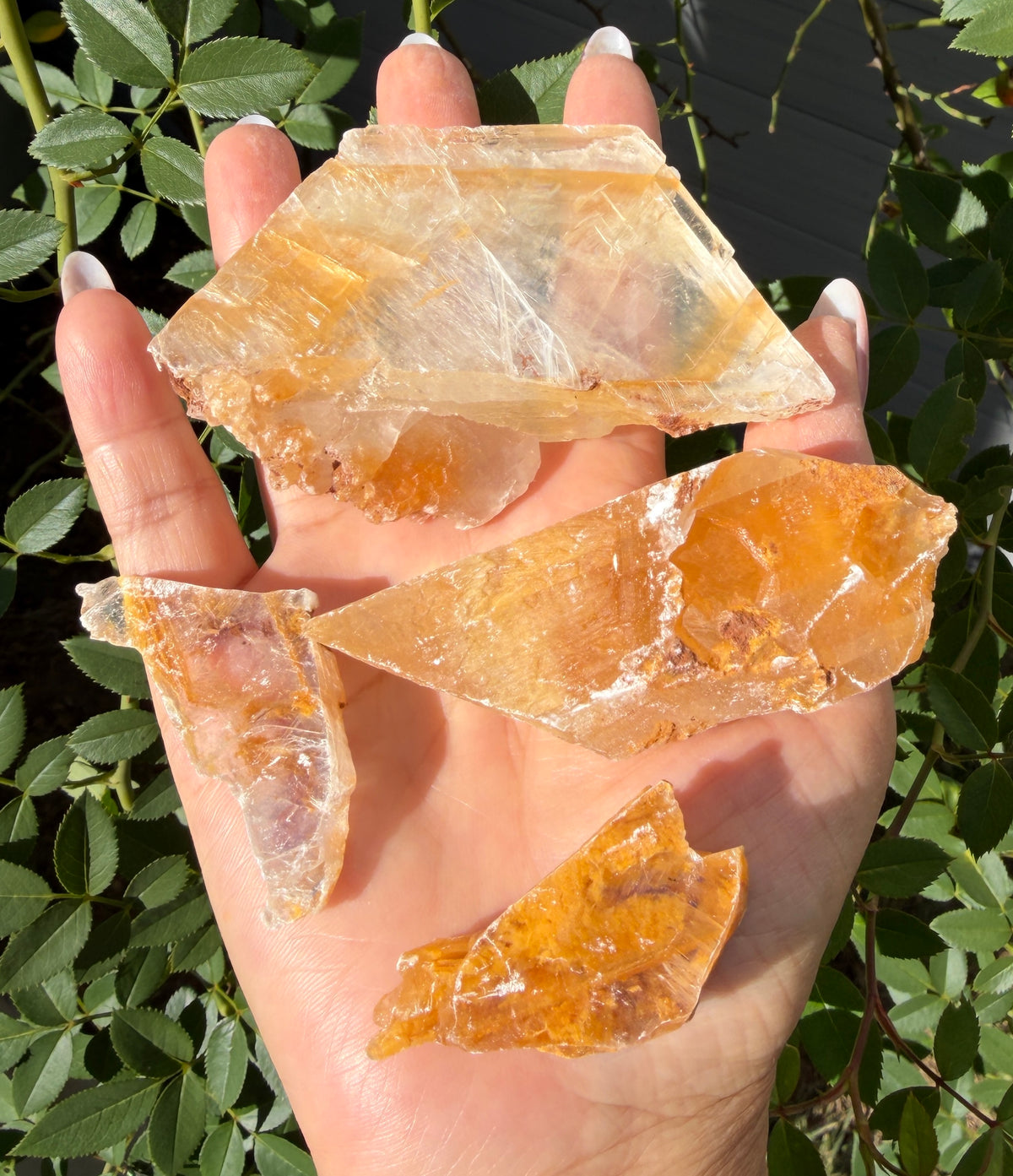 Wholesale Lot 2 Lbs Natural Golden Phantom Selenite Crystal Raw Healing Energy