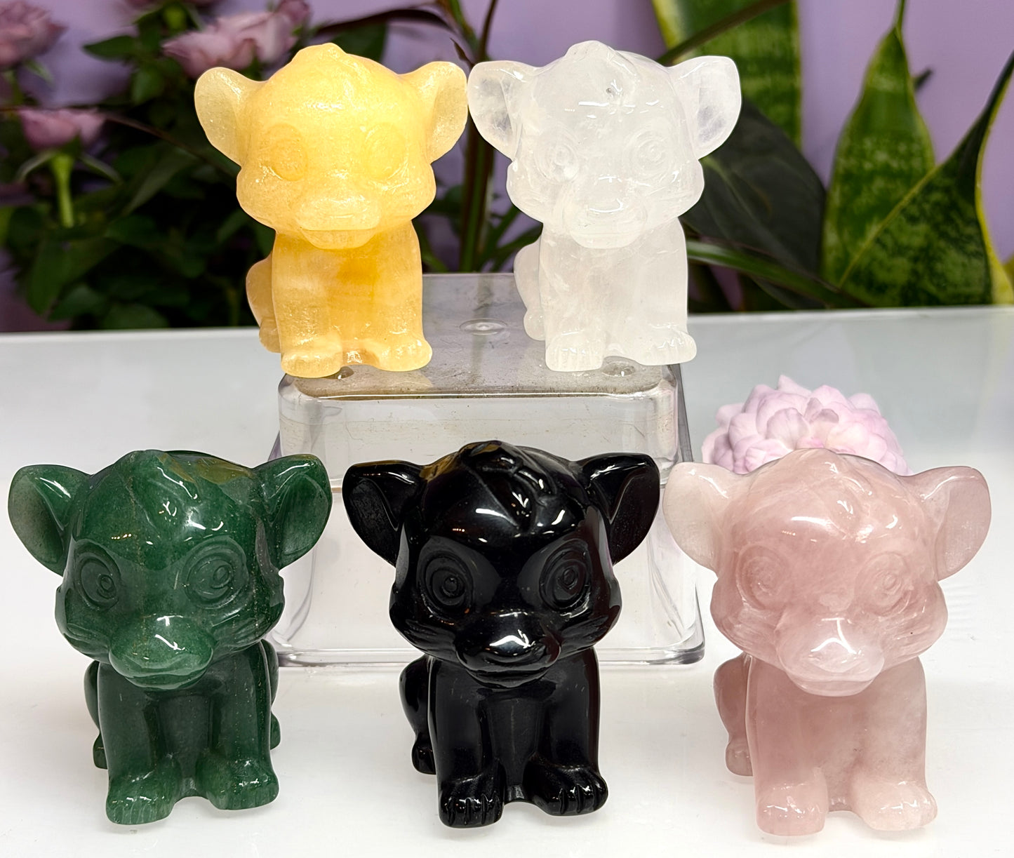 5PCs 6cm Mixed Natural Crystal Lion Cub King Healing Energy