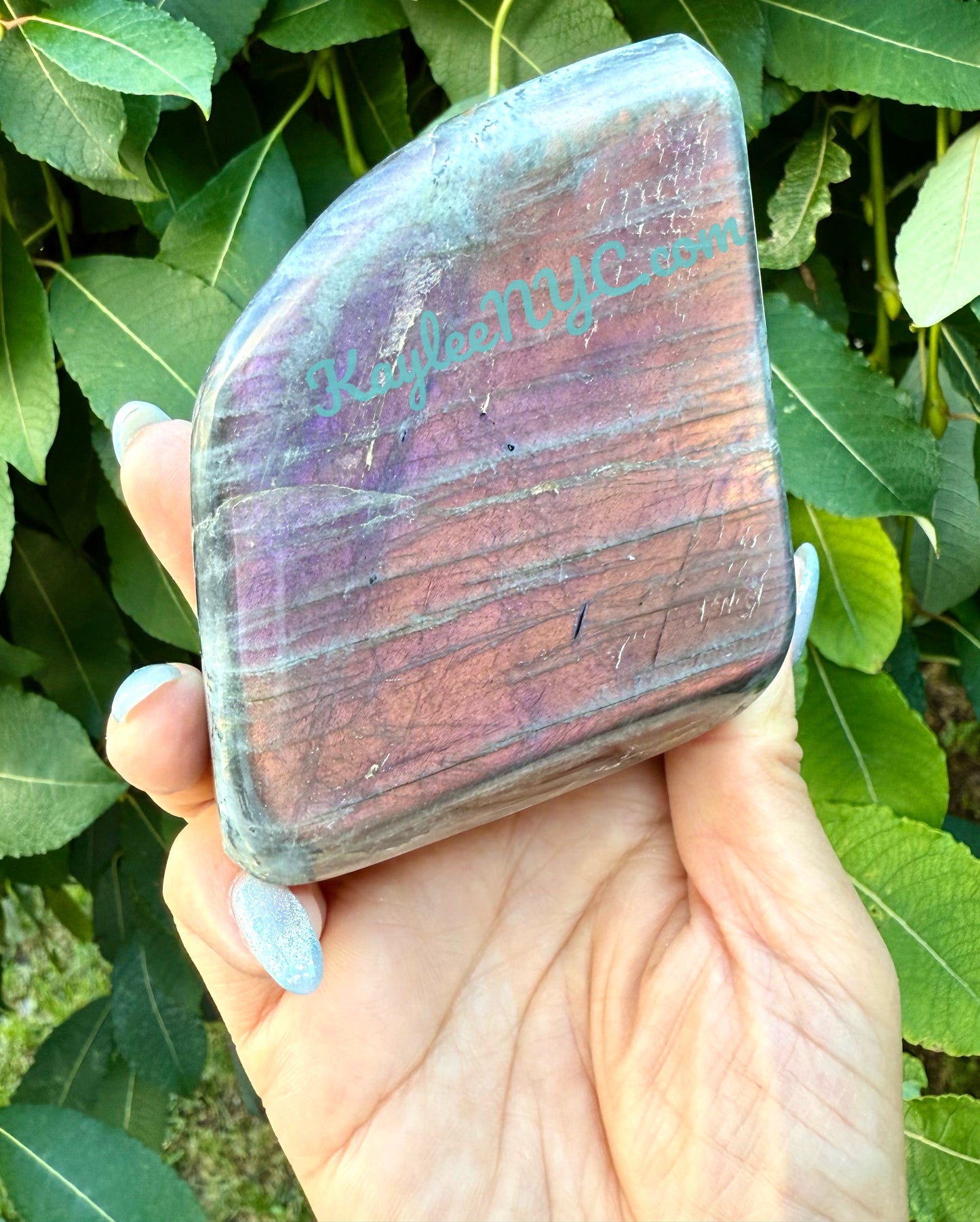 Wholesale Lot 6-8 Pcs Natural Sunset Labradorite Free Form Crystal 3.9-4 lbs